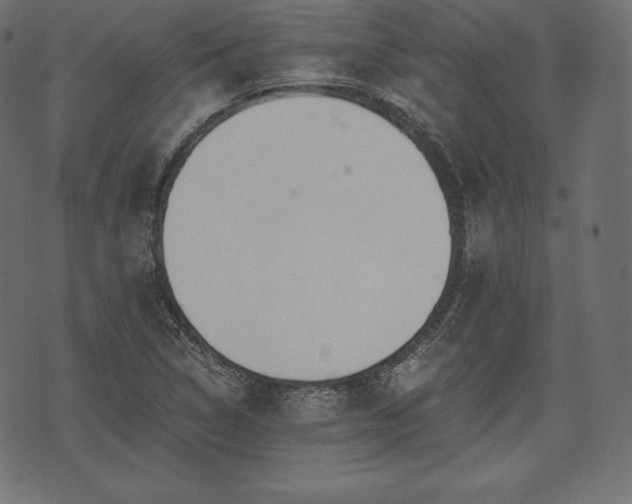 X0000073861314200608170932