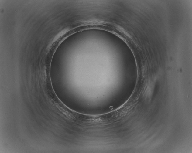 X0000073861315200608170932