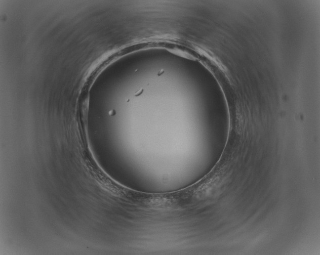 X0000073861316200608170932