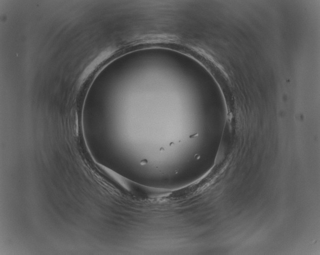 X0000073861317200608170932