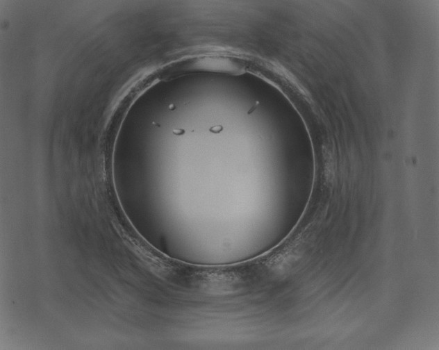 X0000073861318200608170932