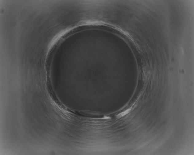 X0000073861319200608170932