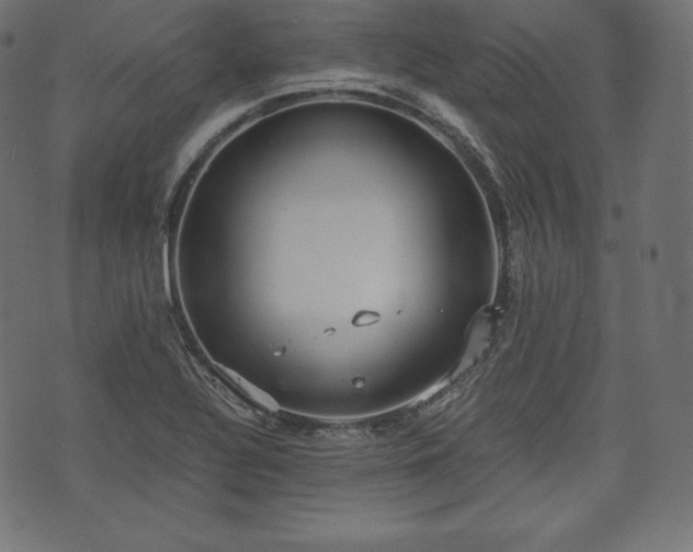 X0000073861320200608170932