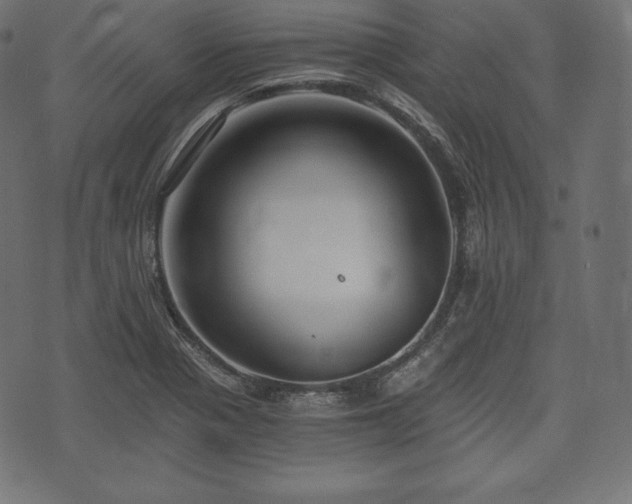 X0000073861321200608170932