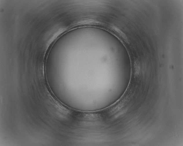 X0000073861322200608170932