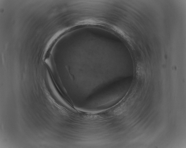 X0000073861323200608170932