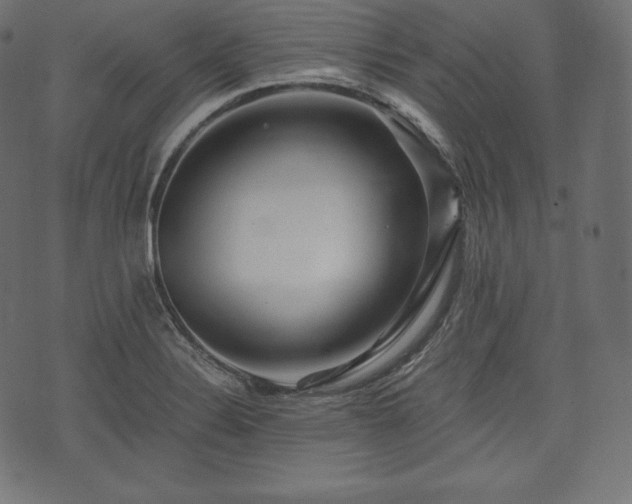 X0000073861324200608170932