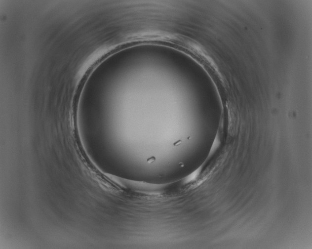 X0000073861328200608170933