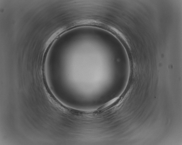 X0000073861330200608170933