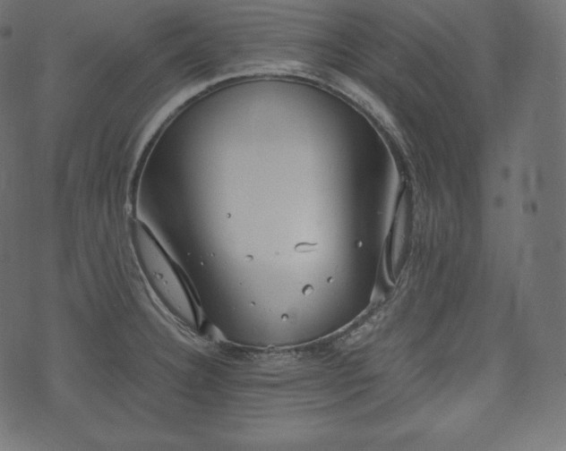 X0000073861332200608170933