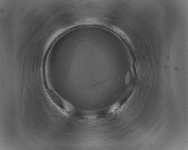 X0000073861334200608170933