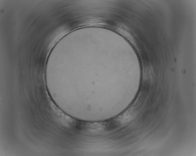 X0000073861338200608170933