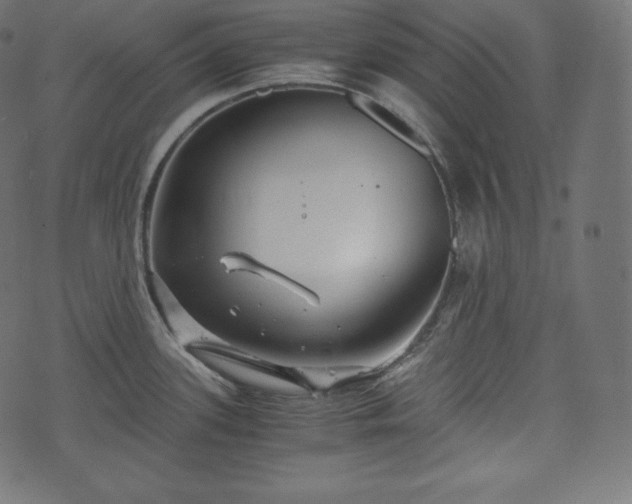 X0000073861339200608170933