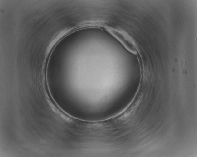 X0000073861341200608170933