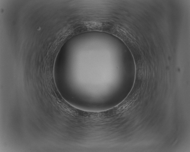 X0000073861345200608170932