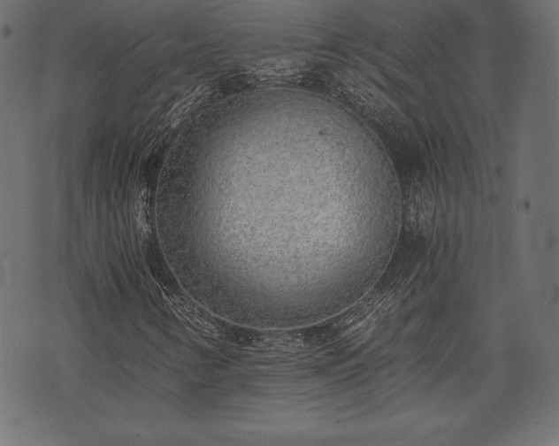 X0000073861346200608170932