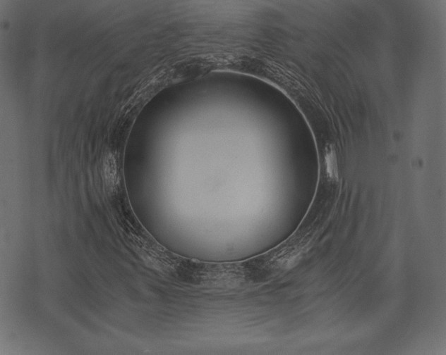 X0000073861347200608170932