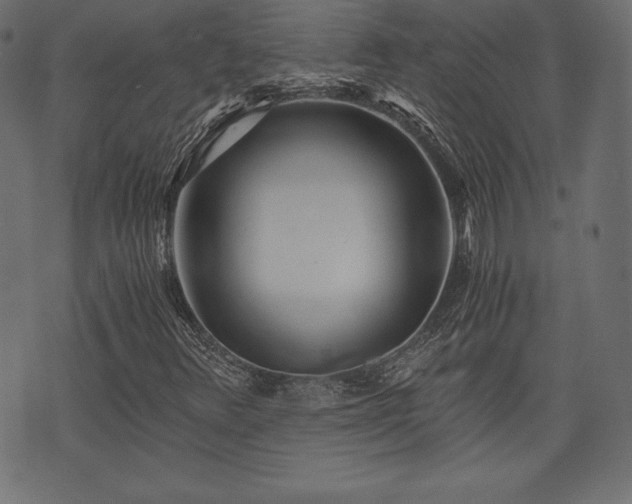 X0000073861348200608170932