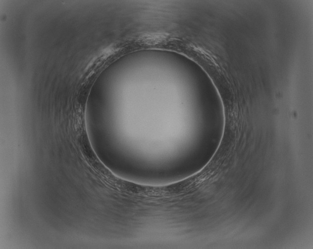 X0000073861349200608170932