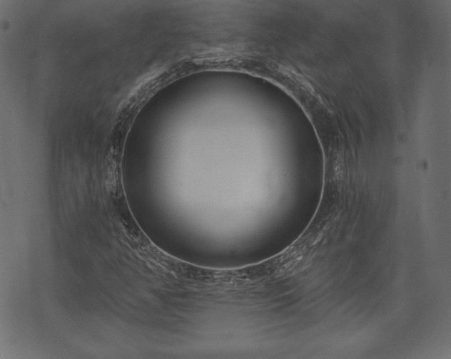 X0000073861350200608170932