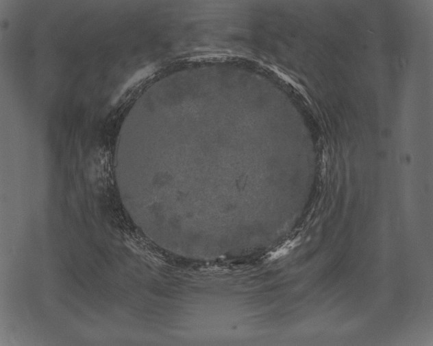 X0000073861351200608170932