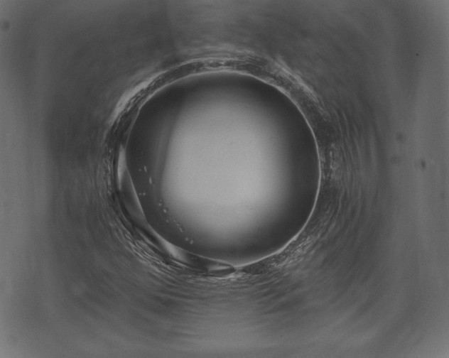 X0000073861352200608170932