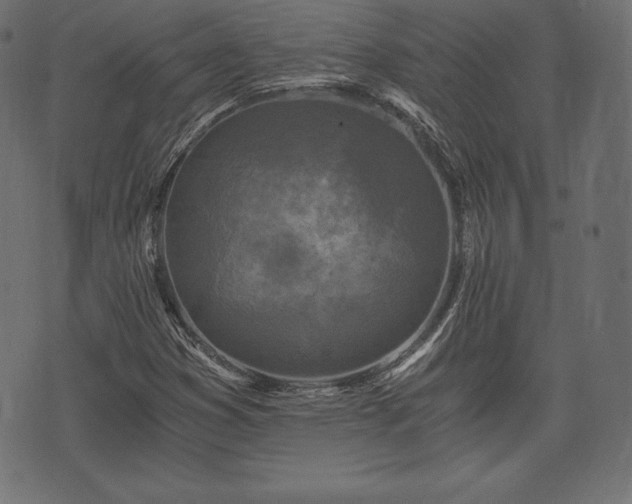 X0000073861353200608170932