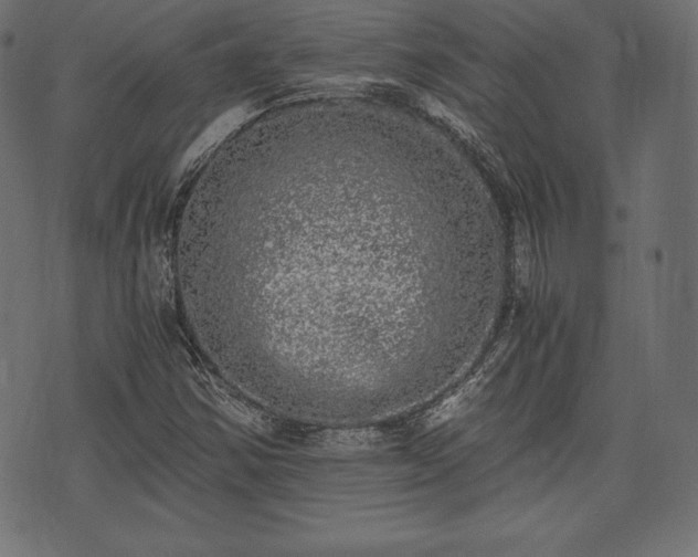 X0000073861354200608170932