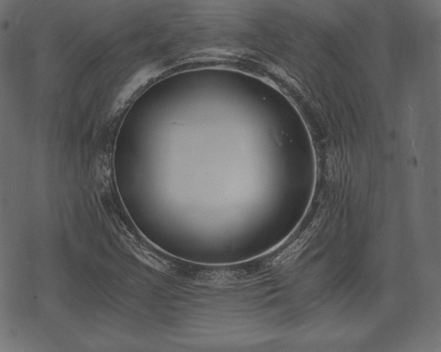 X0000073861355200608170932