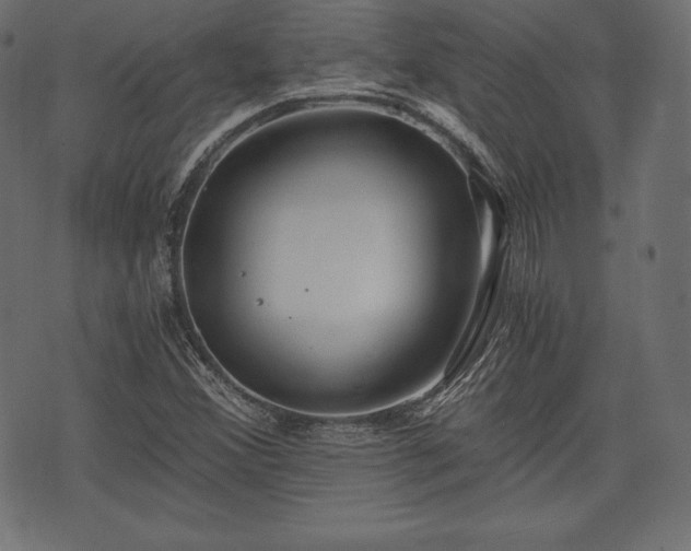 X0000073861356200608170932