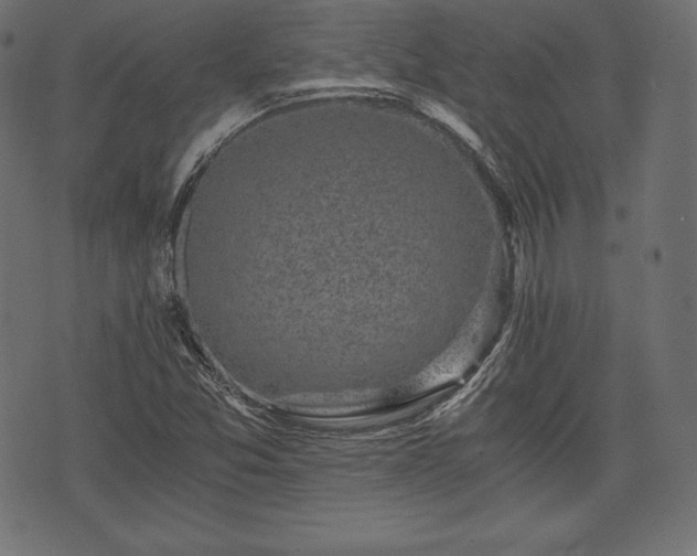 X0000073861357200608170932