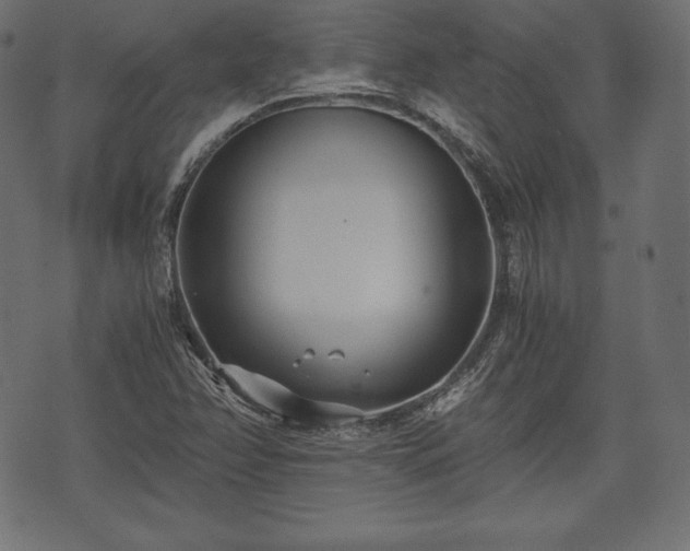 X0000073861358200608170932