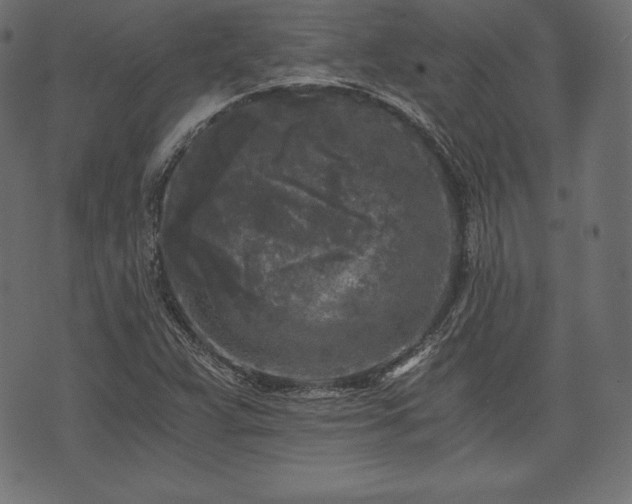 X0000073861359200608170932