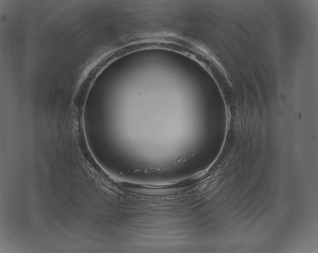 X0000073861360200608170932