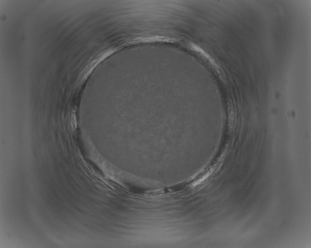 X0000073861361200608170932