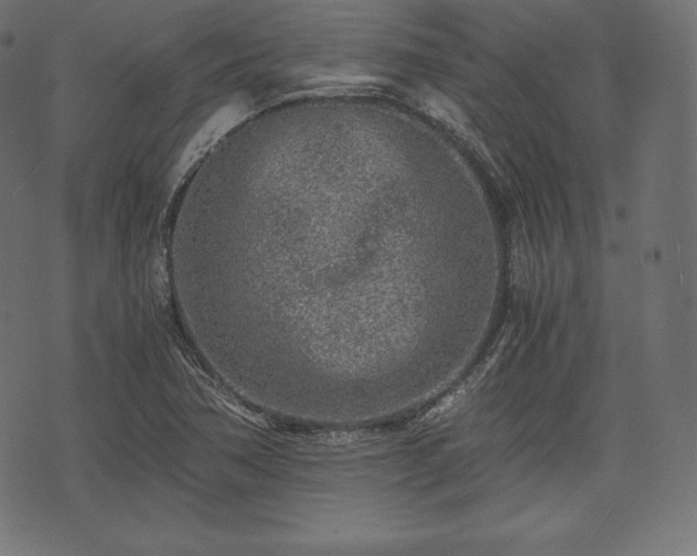 X0000073861362200608170932