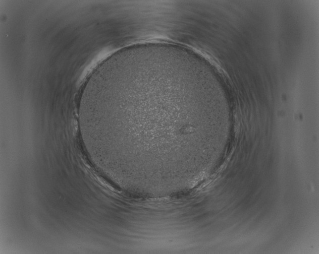 X0000073861363200608170932