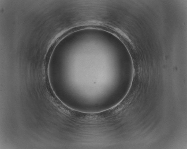 X0000073861364200608170932