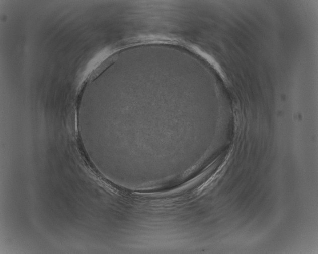 X0000073861365200608170932