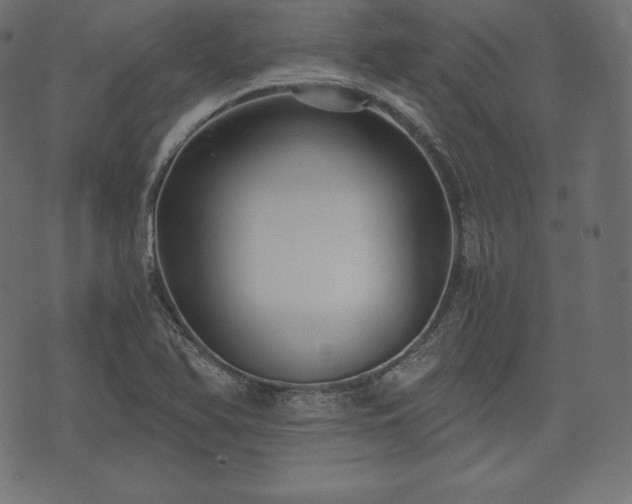 X0000073861366200608170932