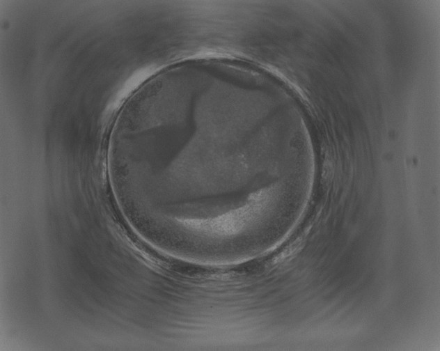 X0000073861367200608170932