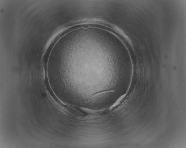 X0000073861368200608170932