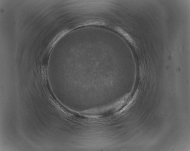 X0000073861369200608170932