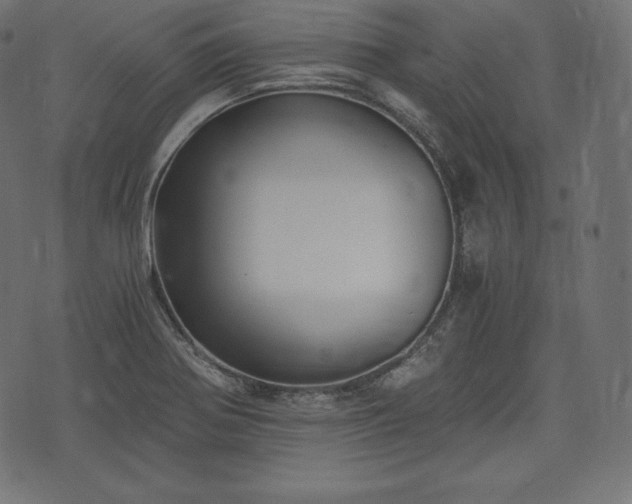 X0000073861370200608170932