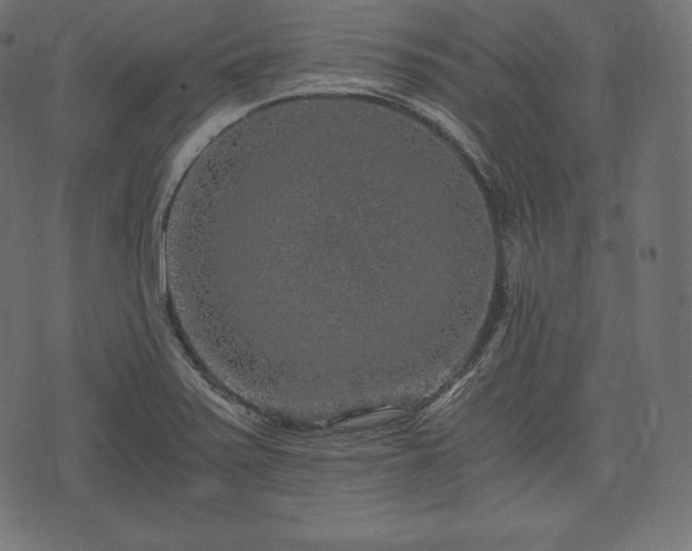 X0000073861371200608170932