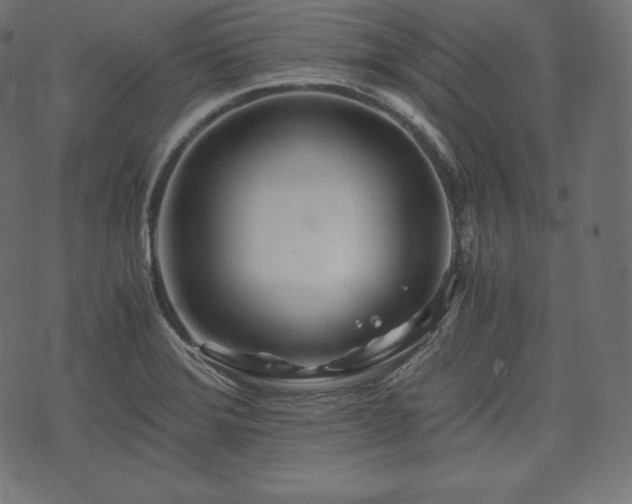 X0000073861372200608170932