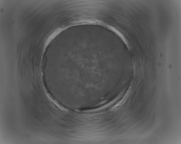 X0000073861373200608170932