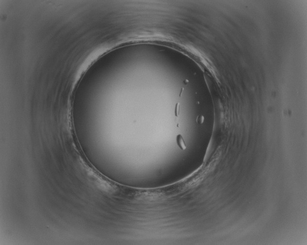 X0000073861374200608170932