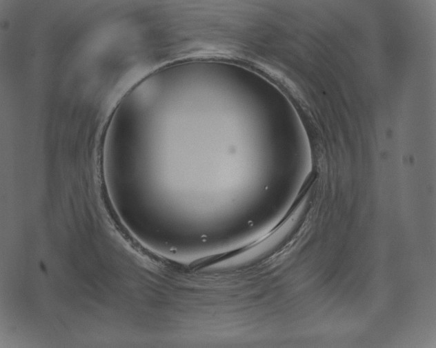 X0000073861375200608170932