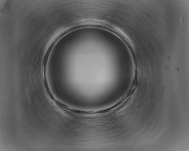 X0000073861376200608170932